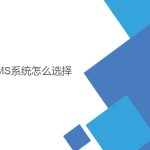 wms系統(tǒng)怎么選擇？
